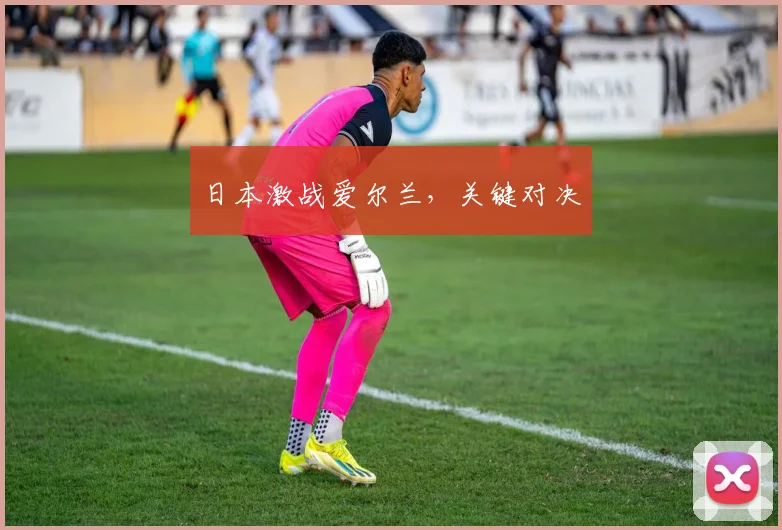 必赢BWINapp官方版 - 日本激战爱尔兰，关键对决