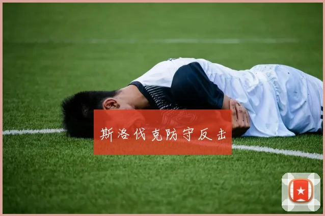 必赢BWINapp官方版 - 斯洛伐克防守反击