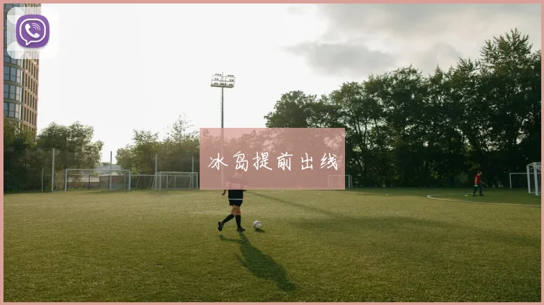 必赢BWINapp官方版 - 冰岛提前出线