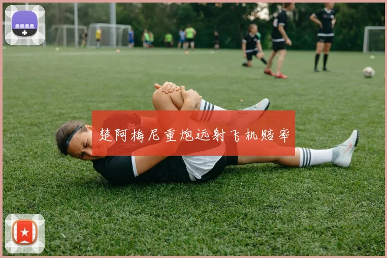 必赢BWINapp官方版 - 楚阿梅尼重炮远射飞机赔率
