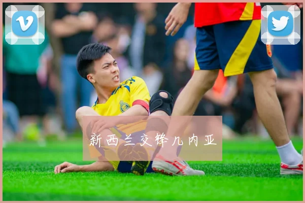 必赢BWINapp官方版 - 新西兰交锋几内亚