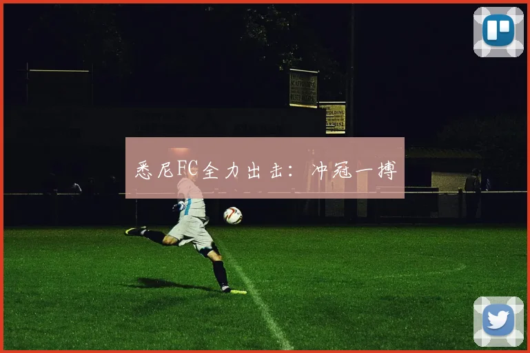 必赢BWINapp官方版 - 悉尼FC全力出击：冲冠一搏