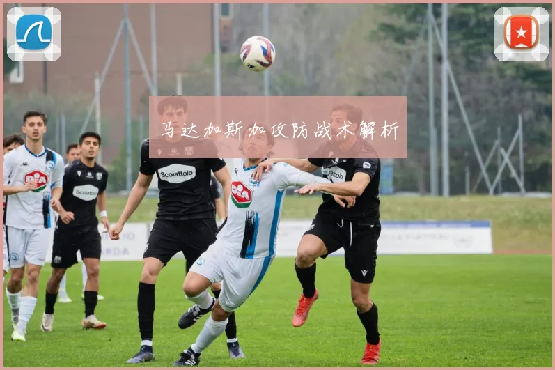 必赢BWINapp官方版 - 马达加斯加攻防战术解析
