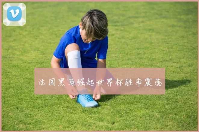 必赢BWINapp官方版 - 法国黑马崛起世界杯胜率震荡
