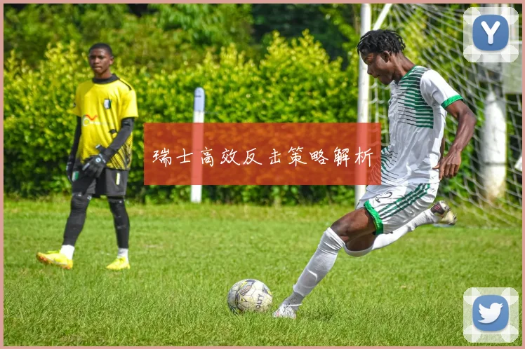 必赢BWINapp官方版 - 瑞士高效反击策略解析