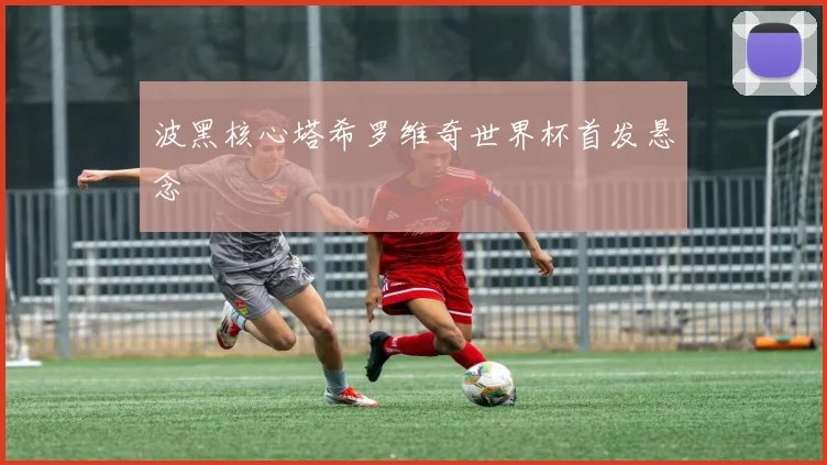 波黑核心塔希罗维奇世界杯首发悬念
