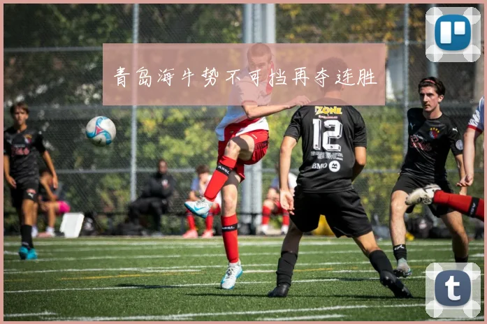 必赢BWINapp官方版 - 青岛海牛势不可挡再夺连胜