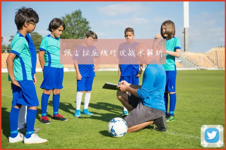 必赢BWINapp官方版 - 佩古拉底线对攻战术解析