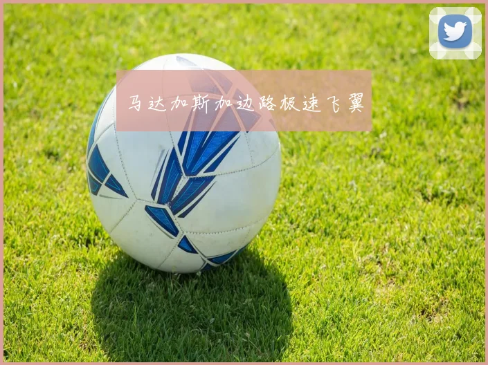 必赢BWINapp官方版 - 马达加斯加边路极速飞翼
